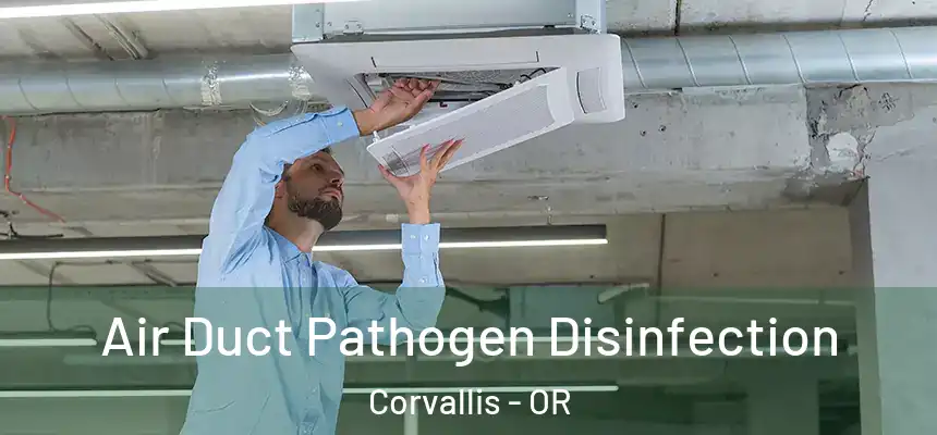 Air Duct Pathogen Disinfection Corvallis - OR