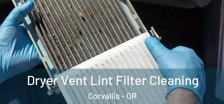 Dryer Vent Lint Filter Cleaning Corvallis - OR