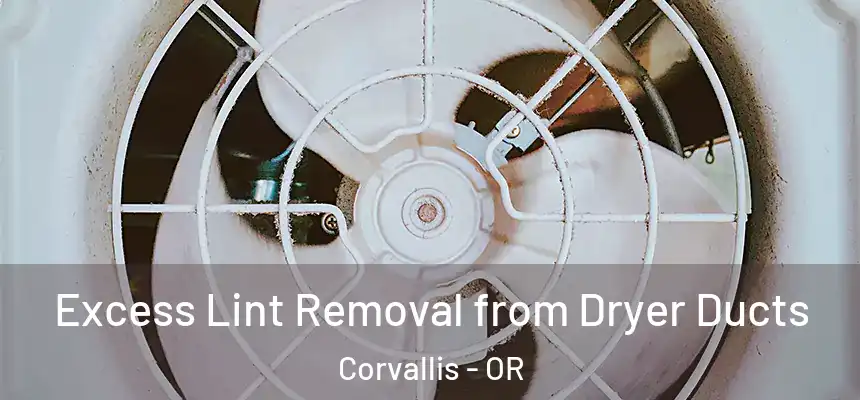  Excess Lint Removal from Dryer Ducts Corvallis - OR