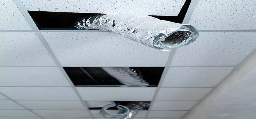 Our Air Duct Pet Hair Removal Services in Corvallis, OR