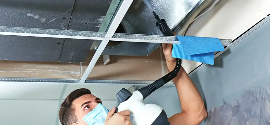 Our Air Duct Rodent Removal Services in Corvallis, OR
