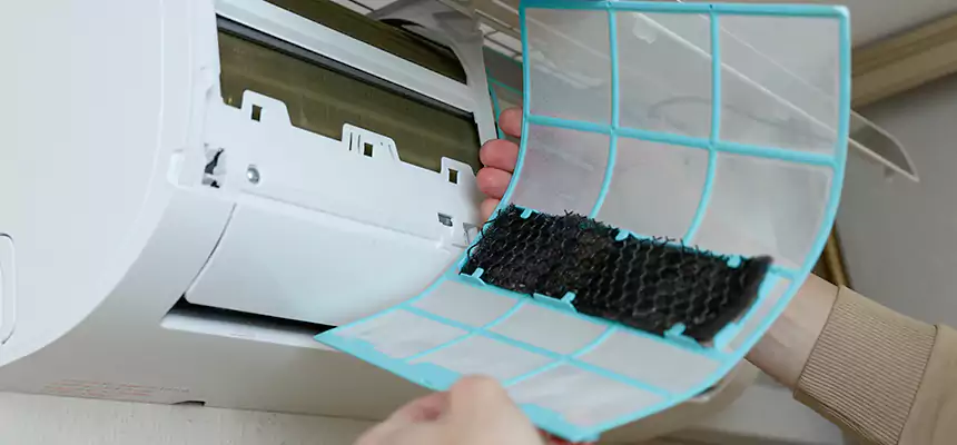 Gentle Ductwork Odor-Control Pet Dander Duct Cleaning in Corvallis, OR