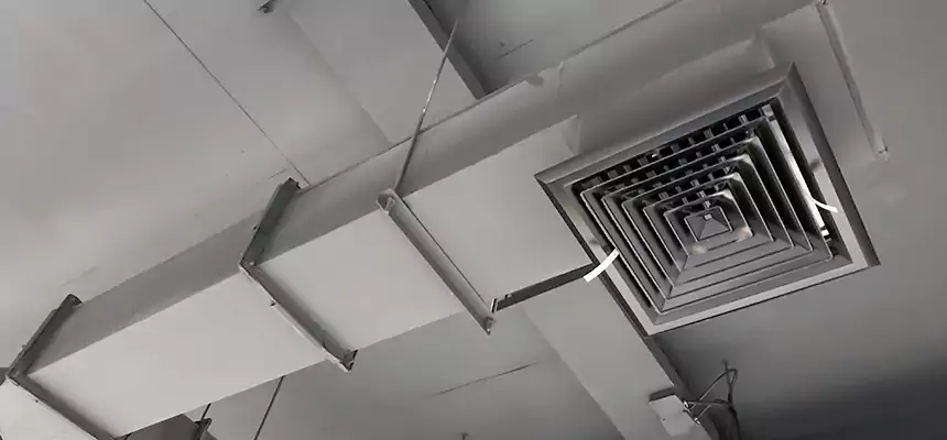 Our Rodent Droppings In Vents Services in Corvallis, OR