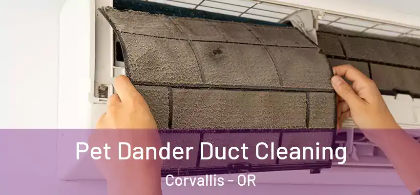 Pet Dander Duct Cleaning Corvallis - OR