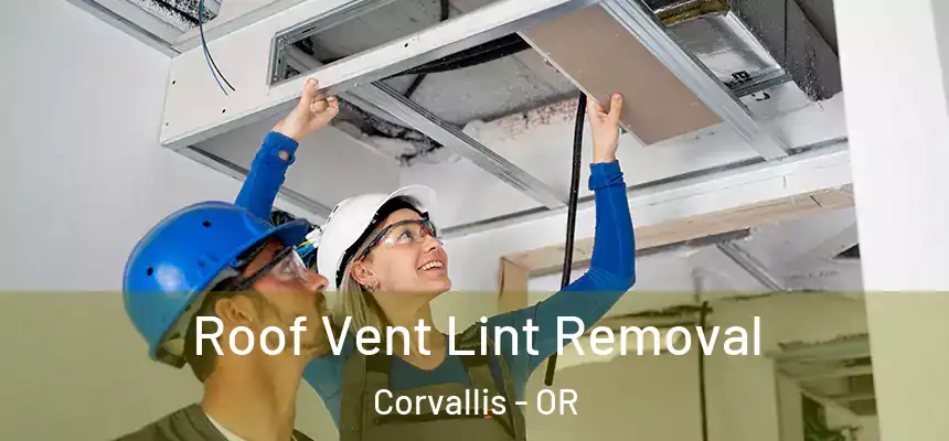  Roof Vent Lint Removal Corvallis - OR