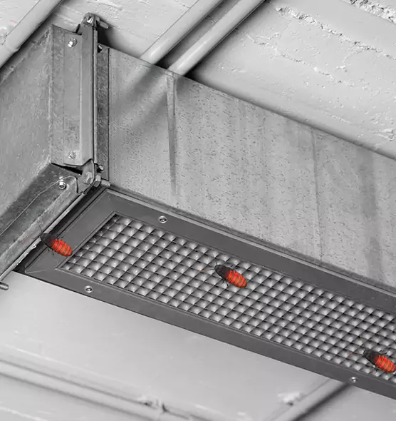 About Air Duct Cockroach Removal in Corvallis, OR