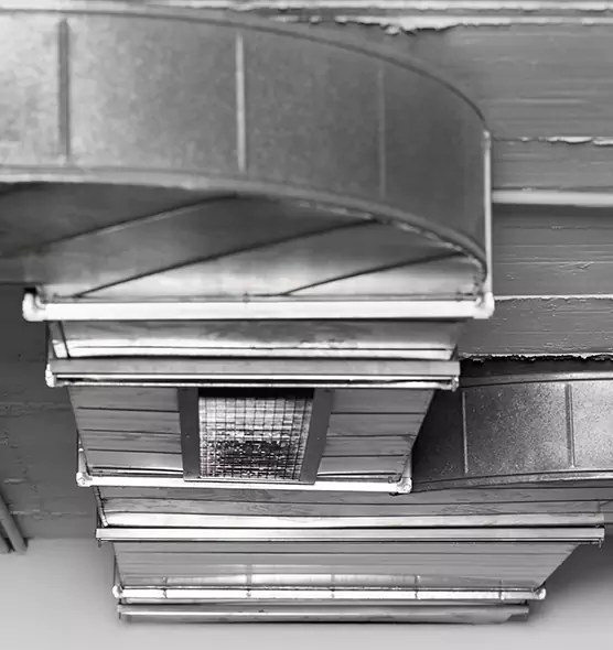 Professional Air Duct Pest Removal in Corvallis, OR