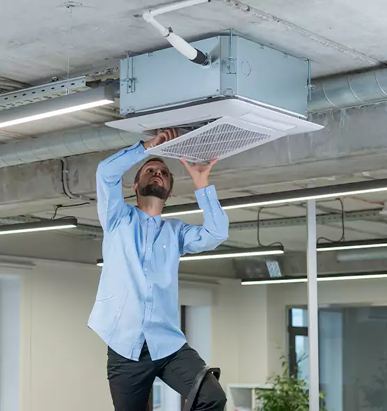 Advanced Rodent Droppings In Vents in Corvallis, OR