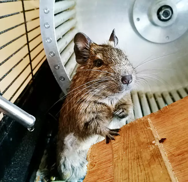 Why Homeowners & Businesses Trust Us Corvallis, OR