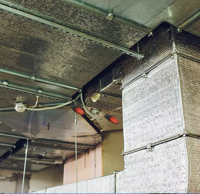 Why Homeowners & Businesses Trust Us Corvallis, OR?