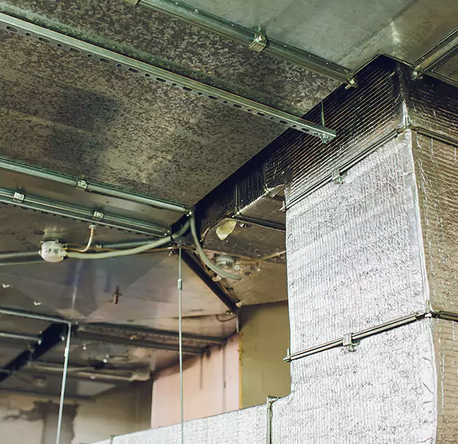 Why Homeowners & Businesses Trust Us in Corvallis, OR?